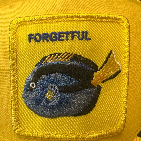 “Forgetful” - Goorin Drop - The Doorway Effect 🐠 🫧 - Picture 6 of 11